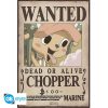 ONE PIECE - Wanted Brook & Chopper Chibi Poszter 2db [52x35cm] (ABYDCO706)