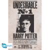 HARRY POTTER "Undesirable n°1" Poszter [91.5x61cm] (ABYDCO768)