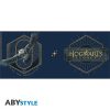 HARRY POTTER - Hogwarts Legacy Logo Bögre 320ml (ABYMUGA268)