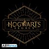 HARRY POTTER -  Hogwarts Legacy Póló XXL (ABYTEX767)