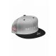 Astralis Snapback Sapka